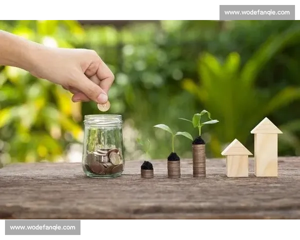 标王加盟助力创业者实现财富梦想开创成功之路